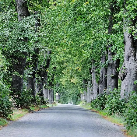Gutshaus Zicker In Garz *
