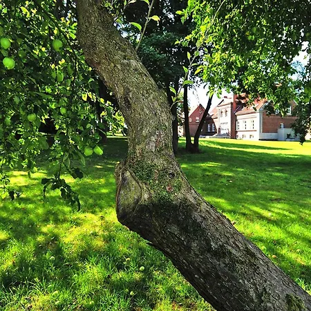 Gutshaus Zicker In Garz