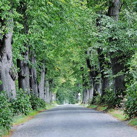 Casa de Férias Gutshaus Zicker In Garz *