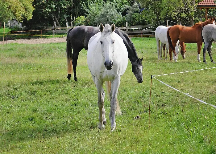 Gutshaus Zicker In Garz Casa de Férias